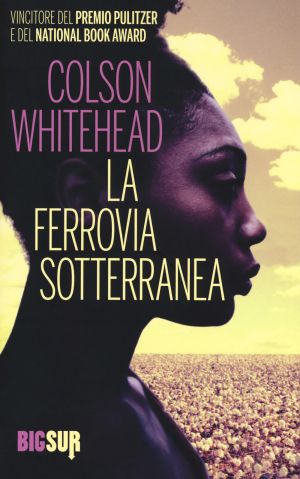 Copertina di La ferrovia sotterranea