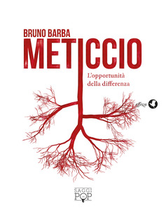 Copertina di Meticcio